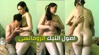 أساليب مبتكرة في فنون النيك العاطفي - عرب سكس